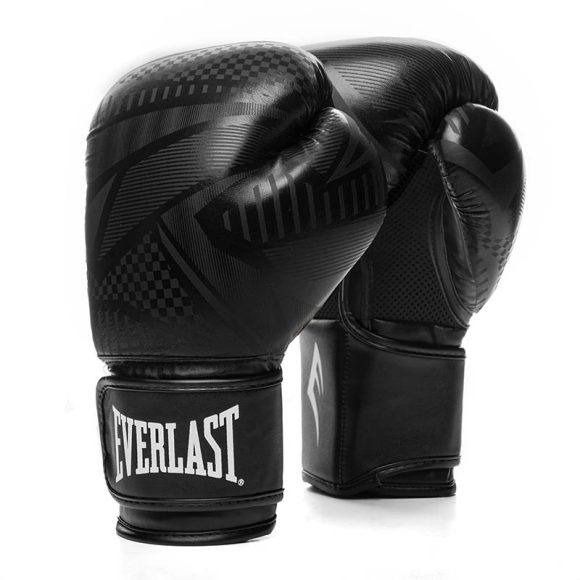 Snygga boxhandskar från Everlast